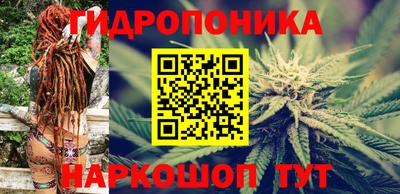 ECSTASY Конаково