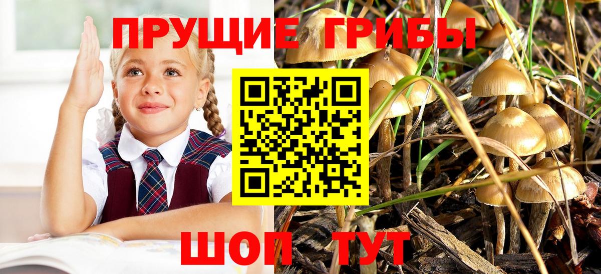 Псилоцибиновые грибы Magic Shrooms  Вход с VPN  Псилоцибиновые грибы Magic Shrooms  Карпинск 