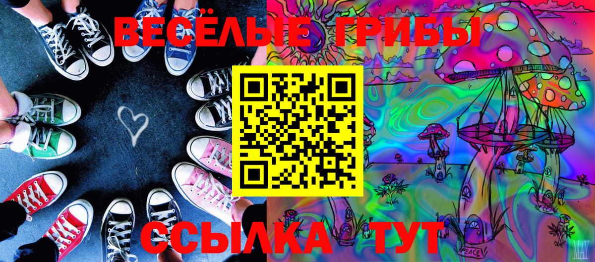 Псилоцибиновые грибы Psilocybine cubensis Карпинск